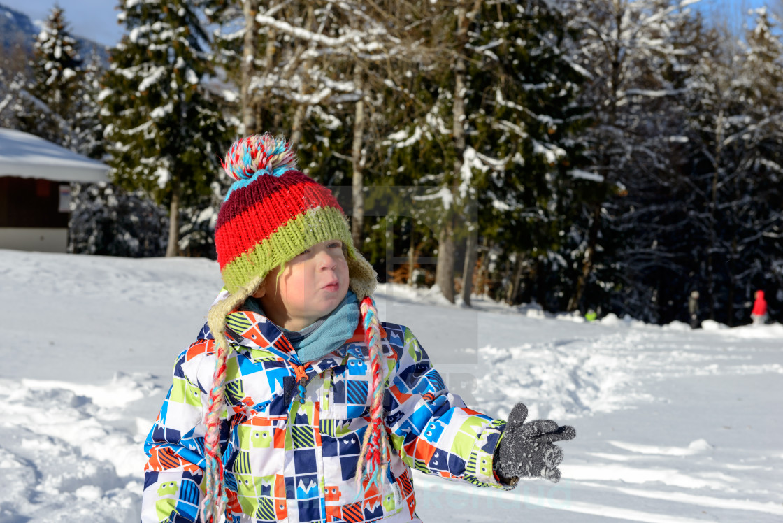 The Snow Child Pdf